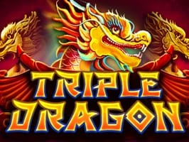 Triple Dragon screenshot
